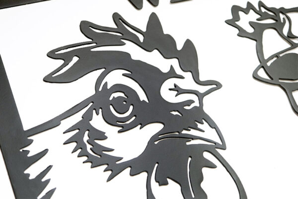 Chicken and rooster sun glasses well hello there