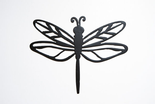 Dragonfly 2