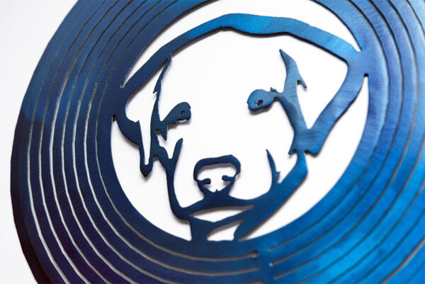 Labrador puppy spinner